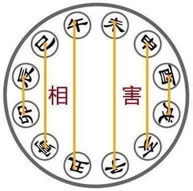 八字六害|八字地支六害取象详解